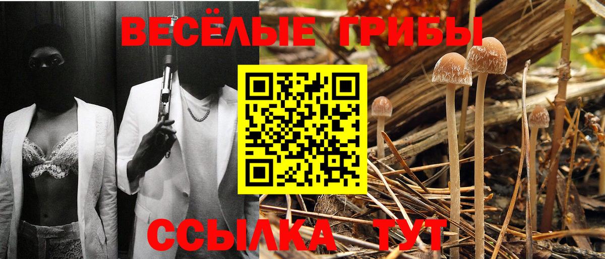 Галлюциногенные грибы GOLDEN TEACHER  Вход с VPN  Великий Устюг 