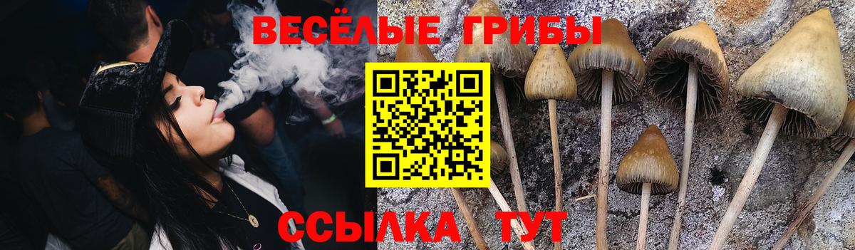 Галлюциногенные грибы Cubensis Великий Устюг