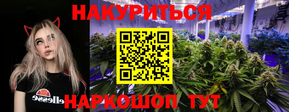 Шишки марихуана сатива Великий Устюг